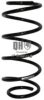 OPEL 0312100 Coil Spring